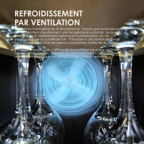 AGCS70VN2Z Cave à vin 2 zones faible largeur jusqu'à 68 bouteilles LeCépage