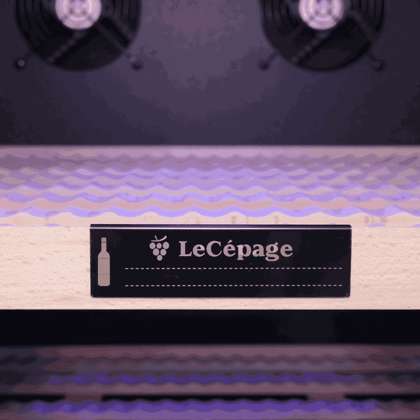 AGCV230VN2Z1DFS- 173 Bouteilles Double Zone | LeCépage