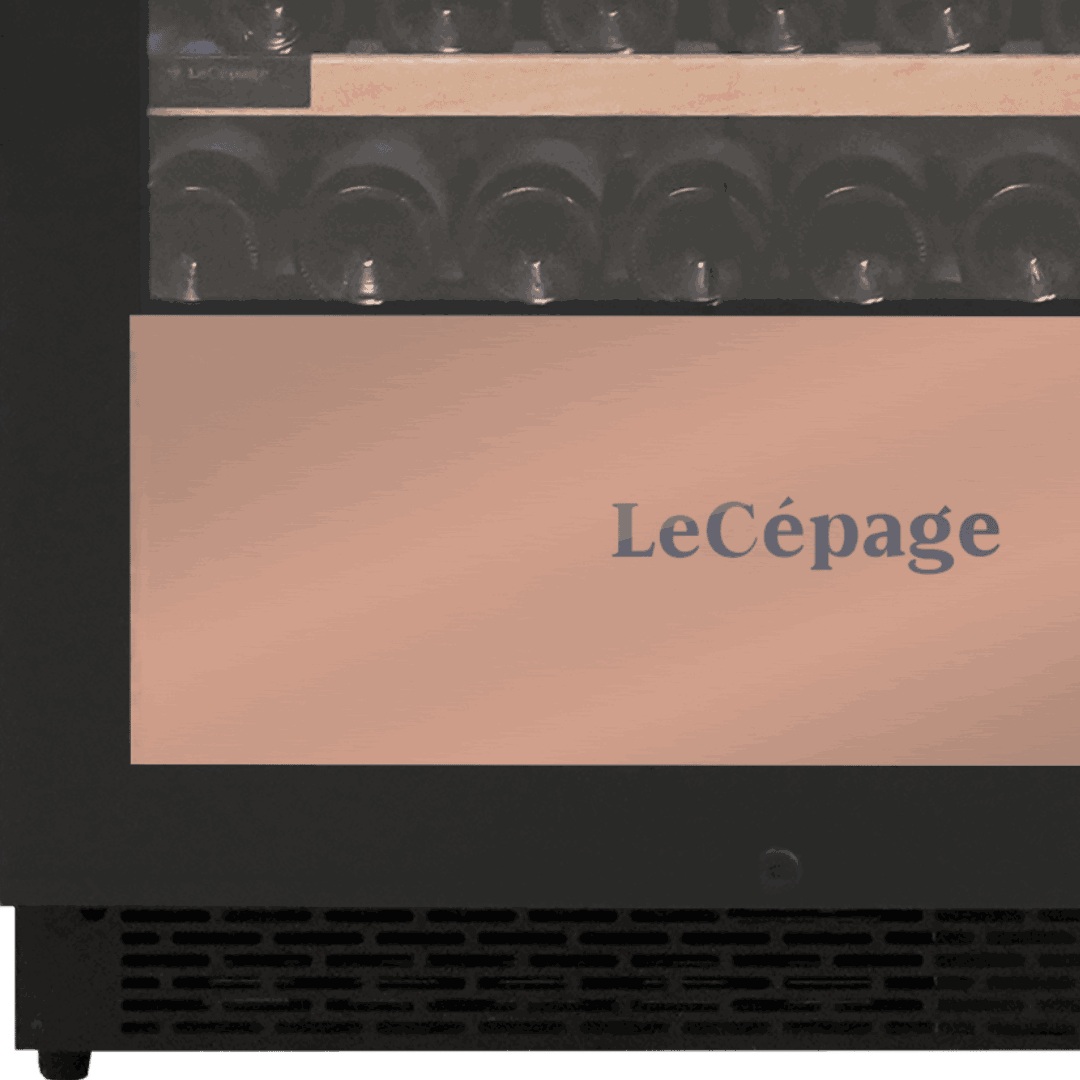 AGCV300VN2Z1D 303 Bouteilles Double Zone | LeCépage