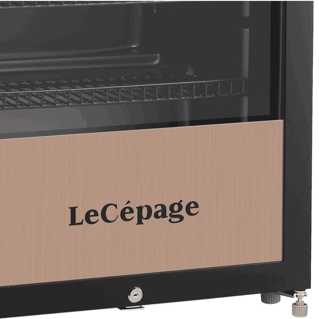 AGJBC238MN 237L Armoire réfrigérée à Boissons | LeCépage