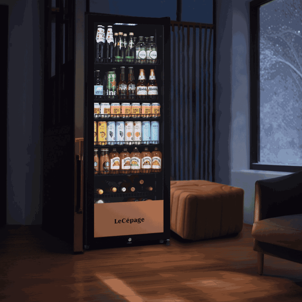 AGJBC238MN 237L Armoire réfrigérée à Boissons | LeCépage