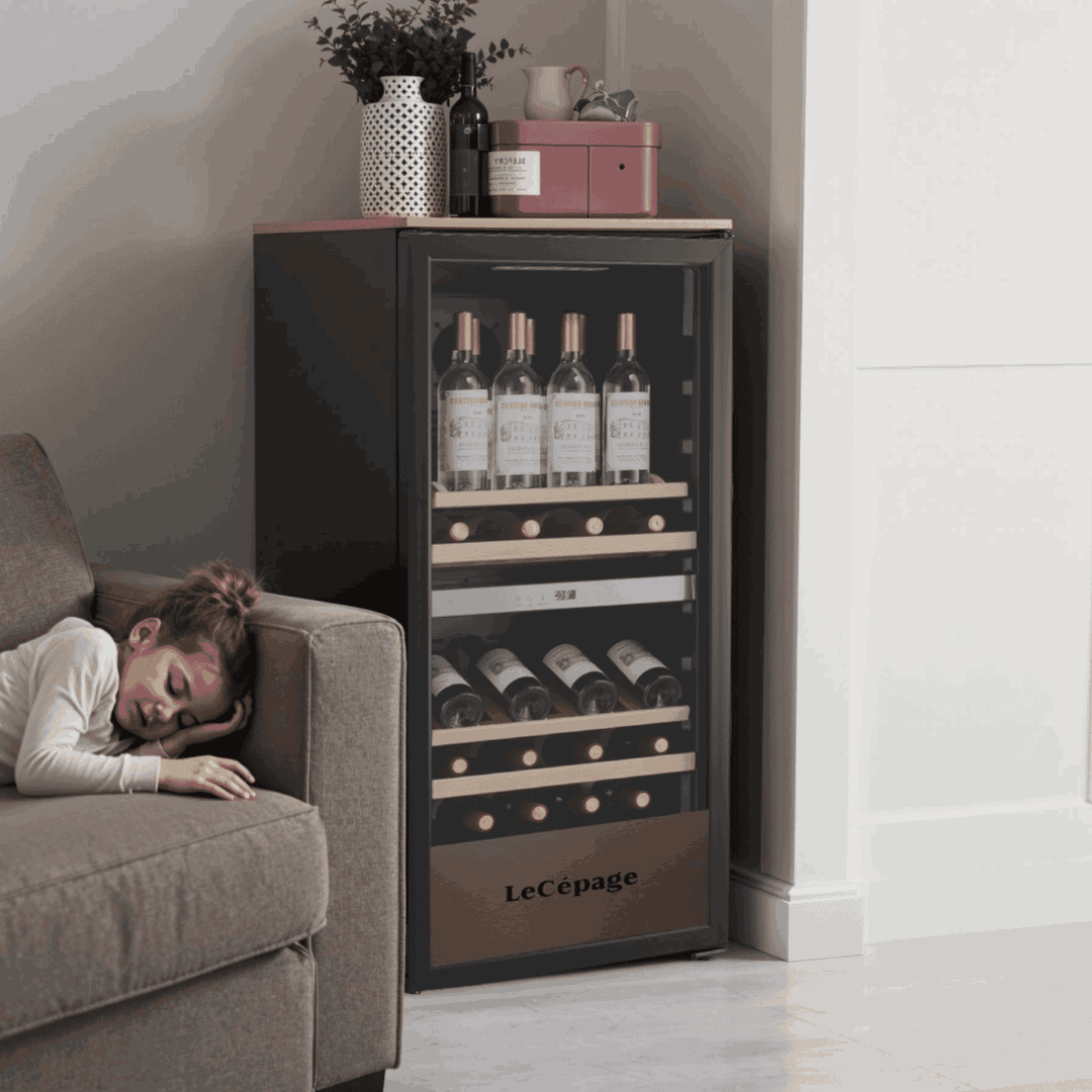 AGK1052ZPV 105 Bouteilles Double Zone | LeCépage