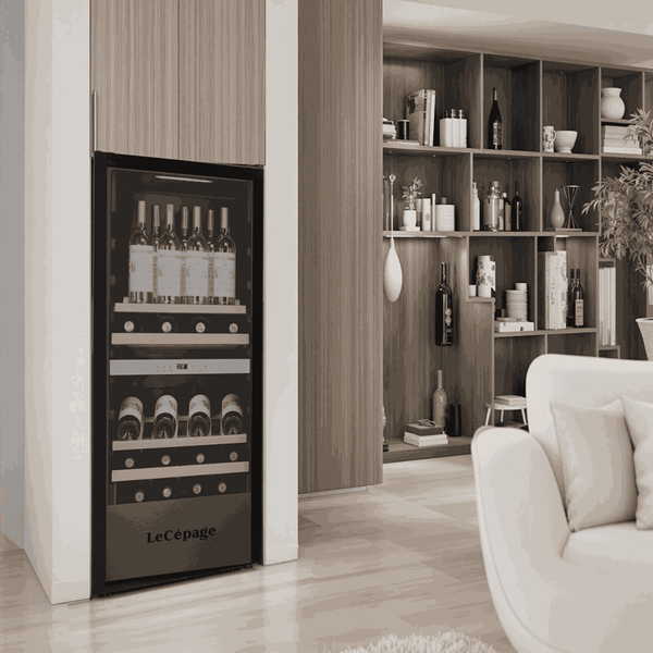 AGK1052ZPV 105 Bouteilles Double Zone | LeCépage