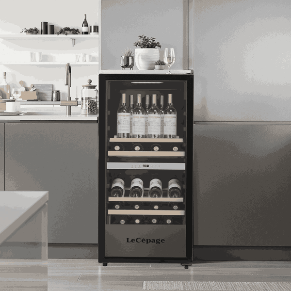 AGK1052ZPV 105 Bouteilles Double Zone | LeCépage